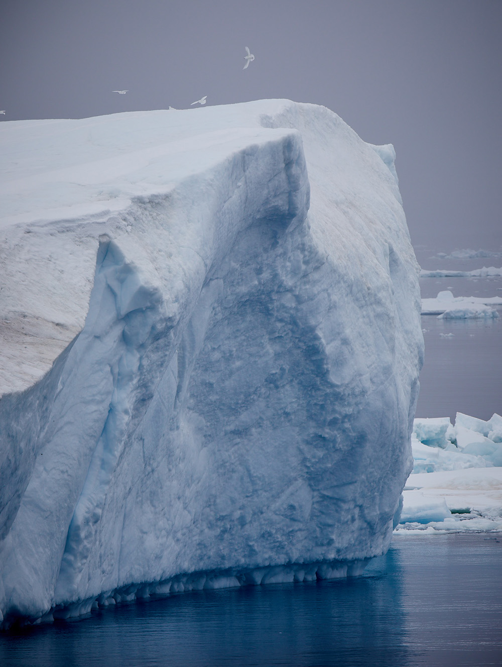 James Geer Antarctica 13