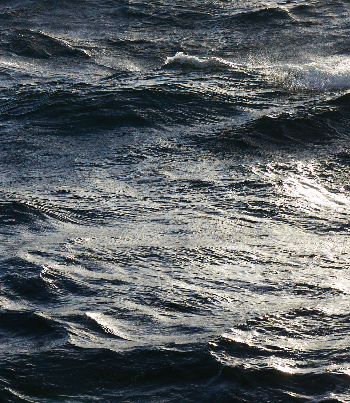 James Geer Antarctica 7