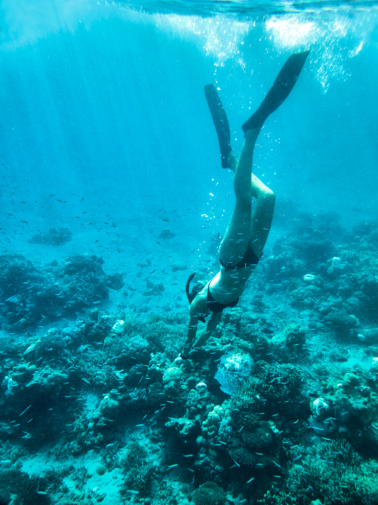 James Geer Moyo Island 12