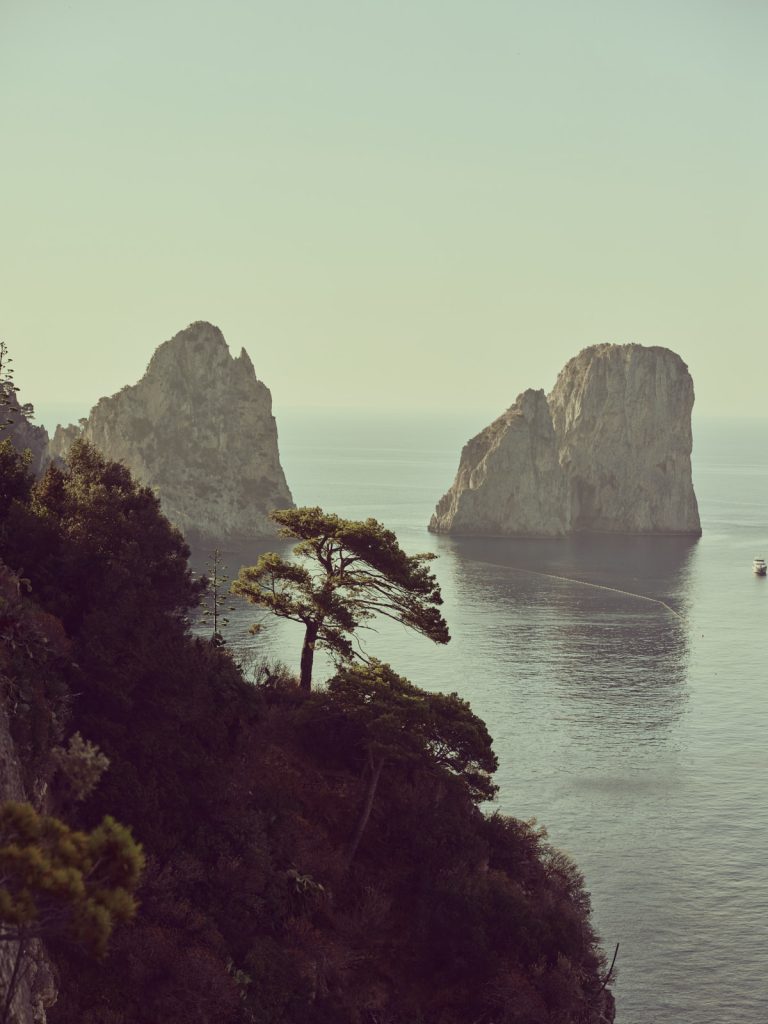 Capri Vista