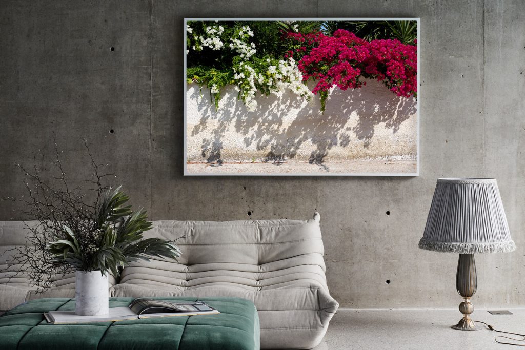 James Geer Bougainvillea Two Tone 02