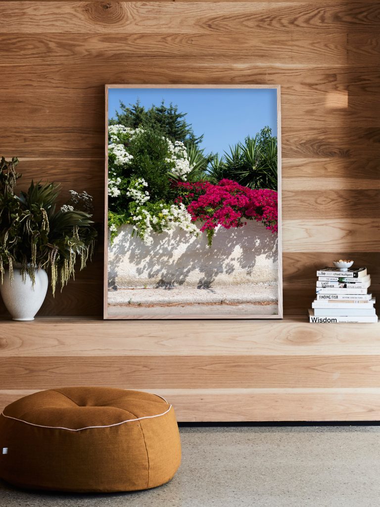 James Geer Bougainvillea Two Tone