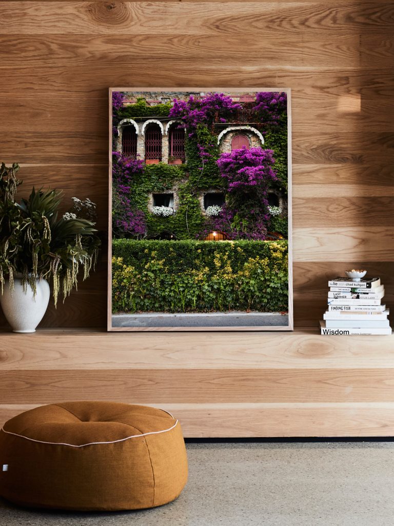James Geer Paraggi Bougainvillea