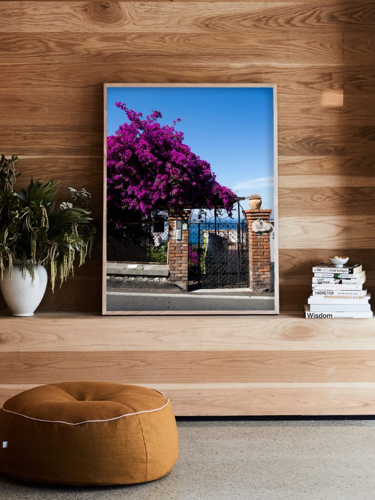 James Geer Taomina Bougainvillea